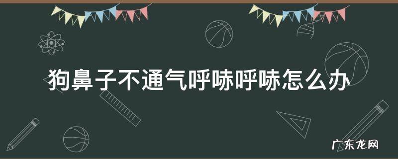 狗鼻子不通气呼哧呼哧怎么办 狗鼻子总是呼哧呼哧