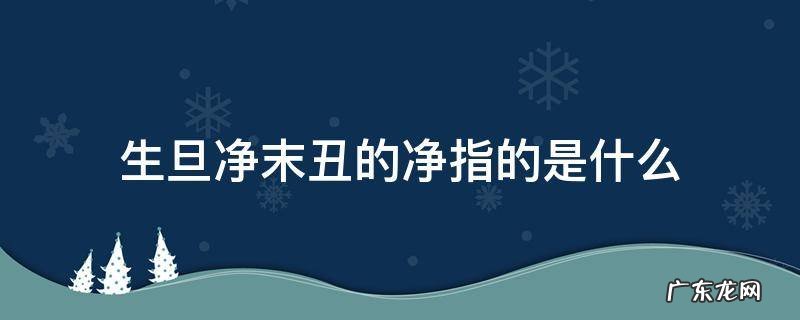 生旦净末丑里面的净是指什么 生旦净末丑的净指的是什么