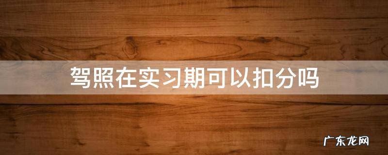 驾照在实习期可以扣分吗