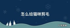 怎么给猫咪剪毛猫不动 怎么给猫咪剪毛
