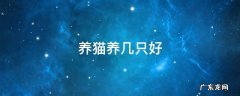 养猫养几只好 养猫几只比较好