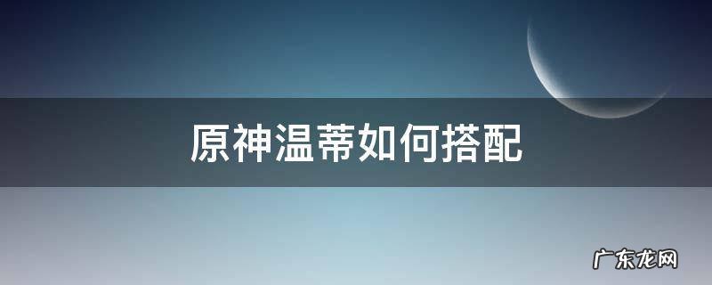 原神温蒂配装 原神温蒂如何搭配