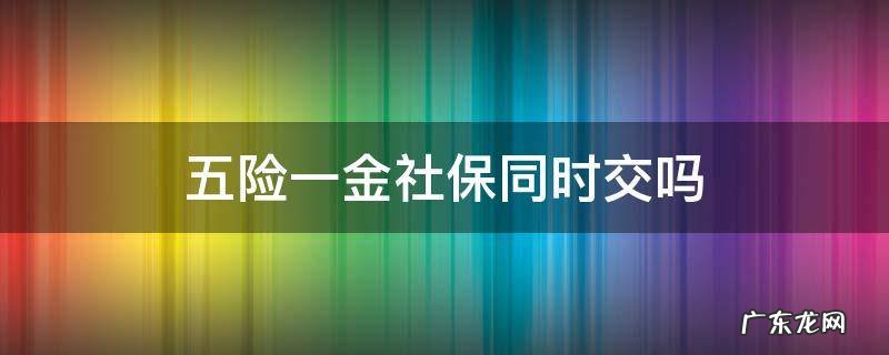 五险一金社保同时交吗 五险一金和社保卡可以同时缴纳吗