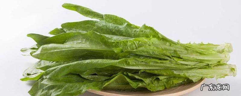 油麦菜怎么炒好吃做法 豆豉鲮鱼油麦菜怎么炒好吃做法