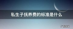 私生子抚养费的标准是什么 私生小孩抚养费的计算标准