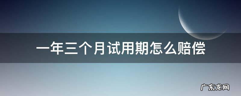 一年三个月试用期怎么赔偿 一年三个月试用期怎么赔偿如果工作了两个半月