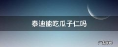 泰迪能吃南瓜子仁吗 泰迪能吃瓜子仁吗