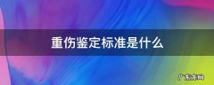 重伤的鉴定标准是什么 重伤鉴定标准是什么
