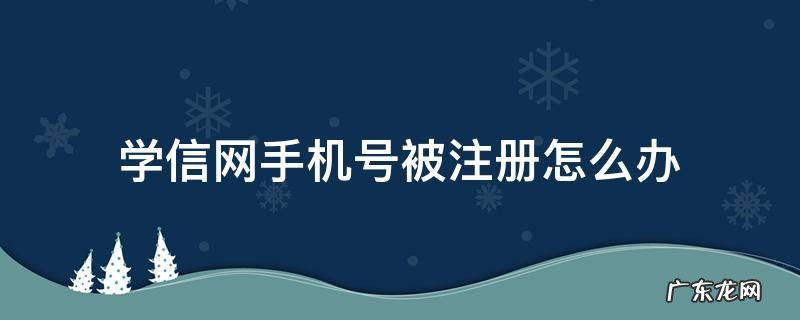 学信网手机号被注册了怎么办 学信网手机号被注册怎么办