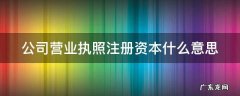 公司营业执照注册资本什么意思 公司营业执照的注册资本是什么意思