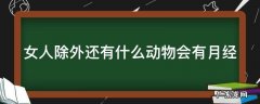 女人除外还有什么动物会有月经