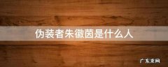 伪装者朱徽茵身份 伪装者朱徽茵是什么人