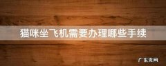 猫咪坐飞机需要办理哪些手续 猫咪上飞机需要办理什么手续