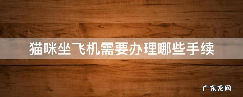猫咪坐飞机需要办理哪些手续 猫咪上飞机需要办理什么手续