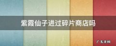 紫霞仙子进过碎片商店吗 论坛 紫霞仙子什么时候上的碎片商店