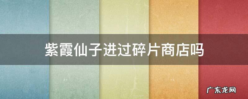 紫霞仙子进过碎片商店吗 论坛 紫霞仙子什么时候上的碎片商店