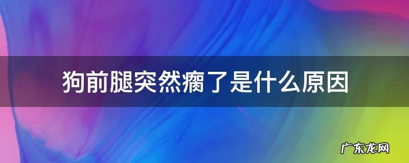 狗狗突然前腿瘸 狗前腿突然瘸了是什么原因
