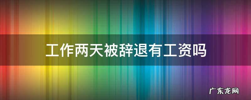 做了两天被辞退有工资吗 工作两天被辞退有工资吗