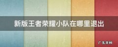 更新后王者荣耀小队在哪里退出 新版王者荣耀小队在哪里退出
