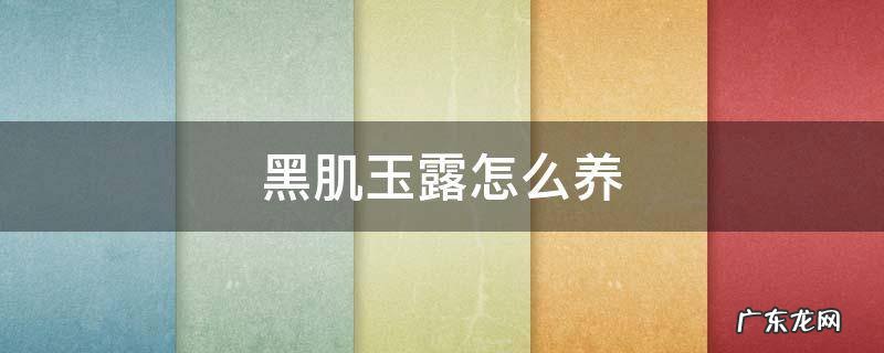 黑肌玉露怎么养好好看 黑肌玉露怎么养
