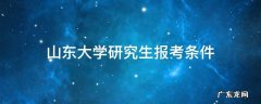 山东大学研究生报考条件翻译学院 山东大学研究生报考条件
