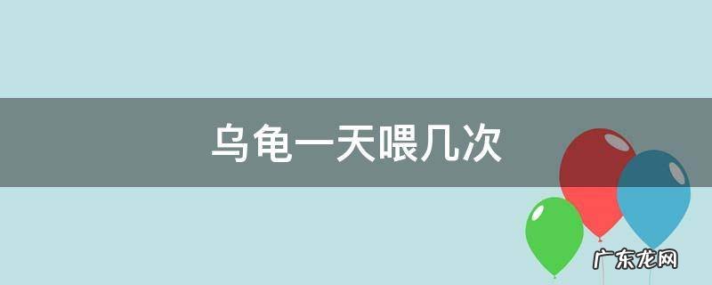 乌龟一天喂几次 乌龟一天喂几次肉