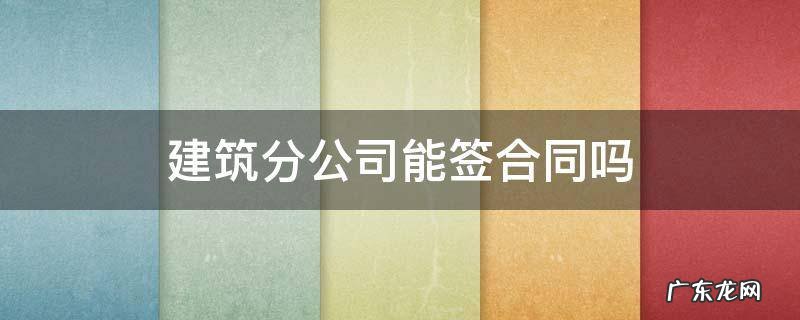 建筑分公司能签合同吗 建筑工程分公司可以签合同吗