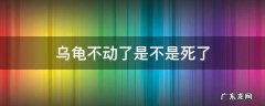 乌龟不动了是不是死了 乌龟为什么死了不动了