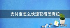 怎样可以快速获得支付宝芝麻粒 支付宝怎么快速获得芝麻粒