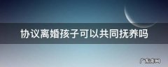 协议离婚孩子可以共同抚养吗 离婚协议孩子可以双方共同抚养吗