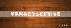 苹果网易云怎么投屏到电视最新版 苹果网易云怎么投屏到电视