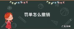 处罚单出来了能撤销吗 罚单怎么撤销
