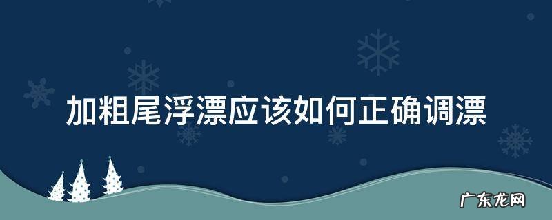 加粗尾浮漂应该如何正确调漂视频 加粗尾浮漂应该如何正确调漂
