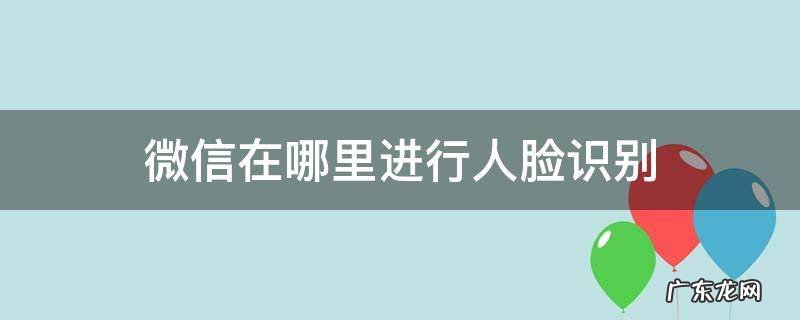 微信在哪里进行人脸识别 微信在哪里进行人脸识别支付