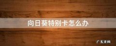 向日葵卡不卡 向日葵特别卡怎么办