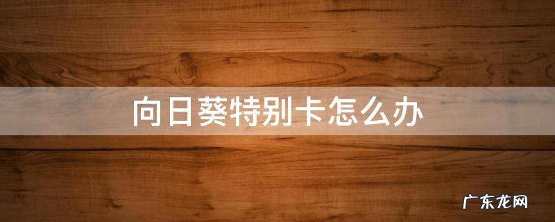 向日葵卡不卡 向日葵特别卡怎么办