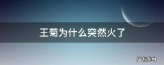 王菊出道了吗 王菊为什么突然火了