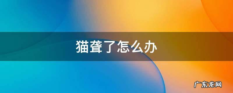 猫聋子怎么办 猫聋了怎么办