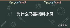 马嘉祺为什么叫小马 为什么马嘉祺叫小风