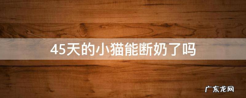 40天的小猫可以断奶了吗 45天的小猫能断奶了吗