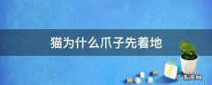 为什么猫的脚先着地 猫为什么爪子先着地