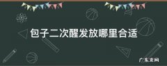 蒸包子需要二次醒发吗 包子二次醒发放哪里合适