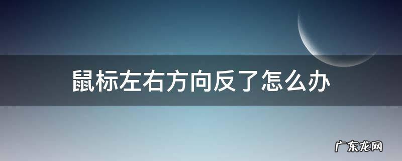 无线鼠标左右方向反了怎么办 鼠标左右方向反了怎么办
