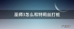 巫师3怎么和女巫打桩 巫师3怎么和特莉丝打桩