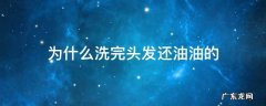 为什么洗完头发还油油的 为什么洗完头发还油油的怎么办