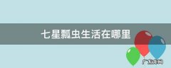 七星瓢虫生活在哪里 七星瓢虫生活在哪里英语?