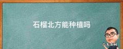 石榴北方能种植吗 适合北方种植的石榴