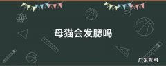 英短母猫会发腮吗 母猫会发腮吗