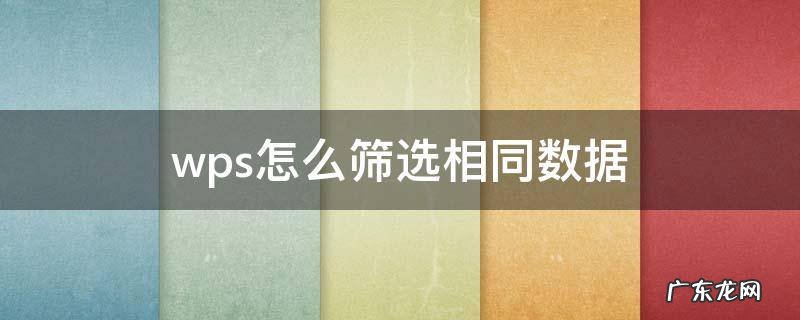 wps怎么筛选相同数据 wps怎么筛选相同数据放至到指定地方