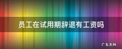 试用期辞退有工资么 员工在试用期辞退有工资吗